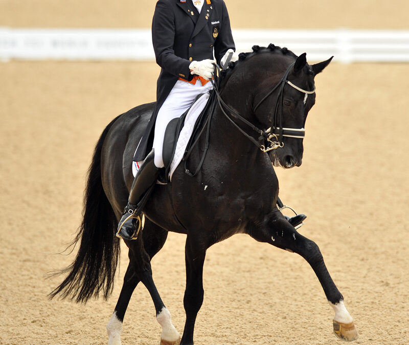 Totilas: il “miracle stallion” del dressage mondiale