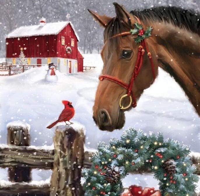 Dopo Natale: il silenzio, la gratitudine e i cavalli