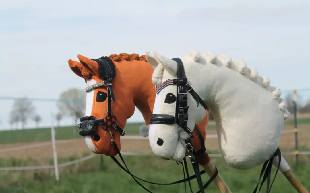 Hobbyhorsing: La Nuova Disciplina Sportiva che Sta Conquistando il Mondo