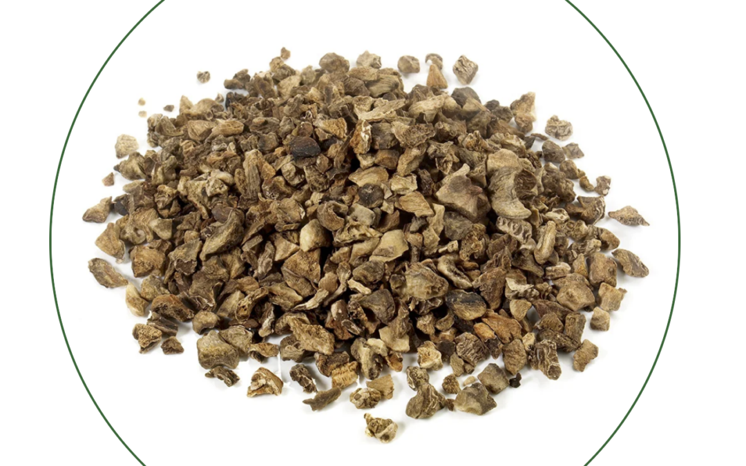 L’artiglio del diavolo per i cavalli: cos’è e quando può essere utile