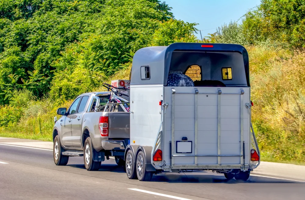 Trasporto dei cavalli: sicurezza, pazienza e rispetto (anche sulla strada)