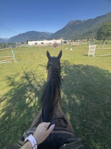 IMG_0095