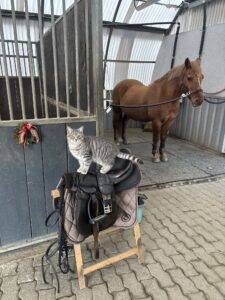 IMG_3711
