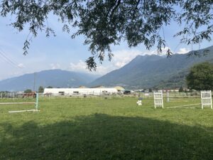 IMG_9866