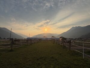IMG_9909